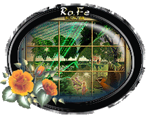 Un angioletto tra le rose