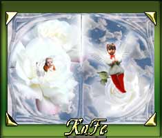 Un angioletto tra le rose